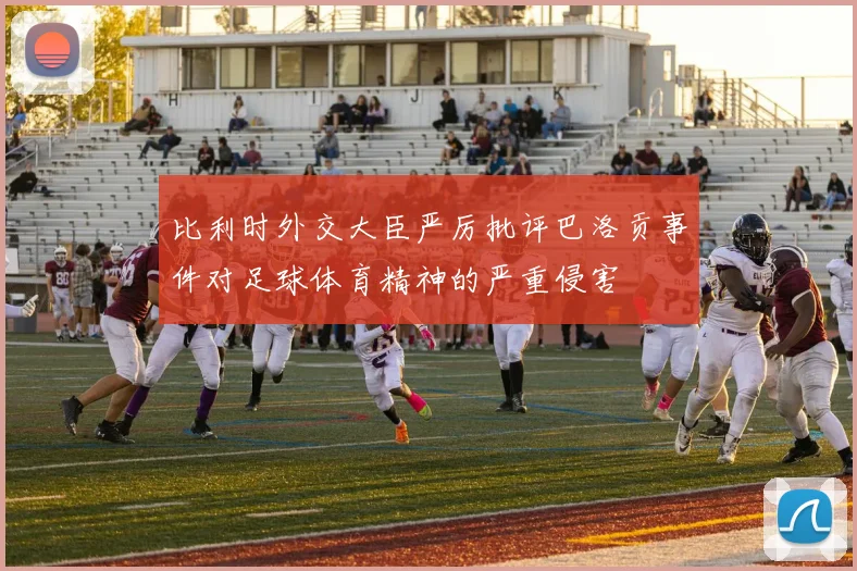 比利时外交大臣严厉批评巴洛贡事件对足球体育精神的严重侵害