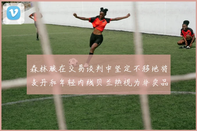 森林狼在交易谈判中坚定不移地将麦丹和年轻内线贝兰热视为非卖品