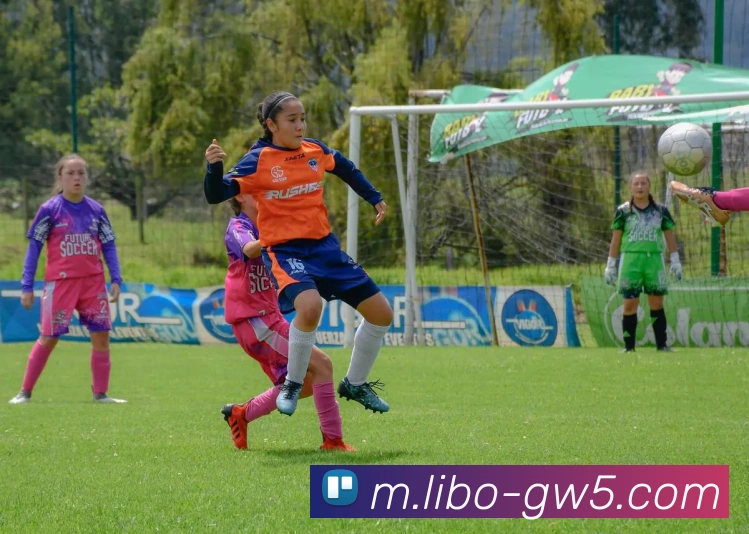 AI Risk Control